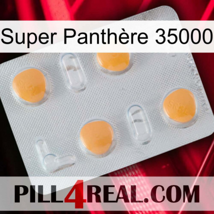 Super Panthère 35000 24